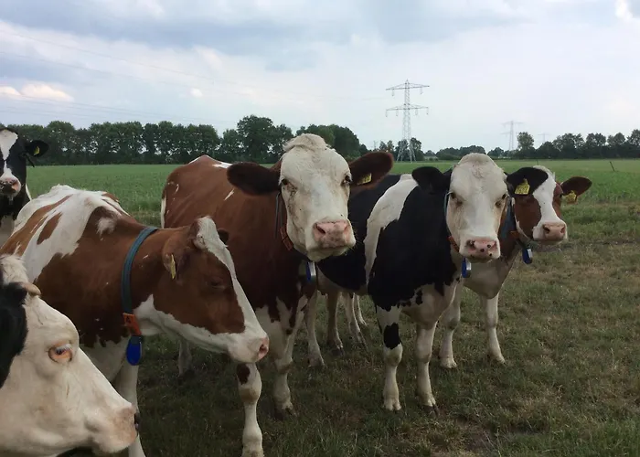 Cozy In With Sauna Hébergement de vacances *