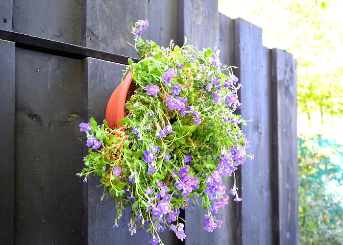 Cozy In With Sauna *